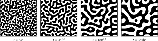 Solution of the Cahn-Hilliard equation. Image taken from https://www.hindawi.com/journals/mpe/2016/9532608/