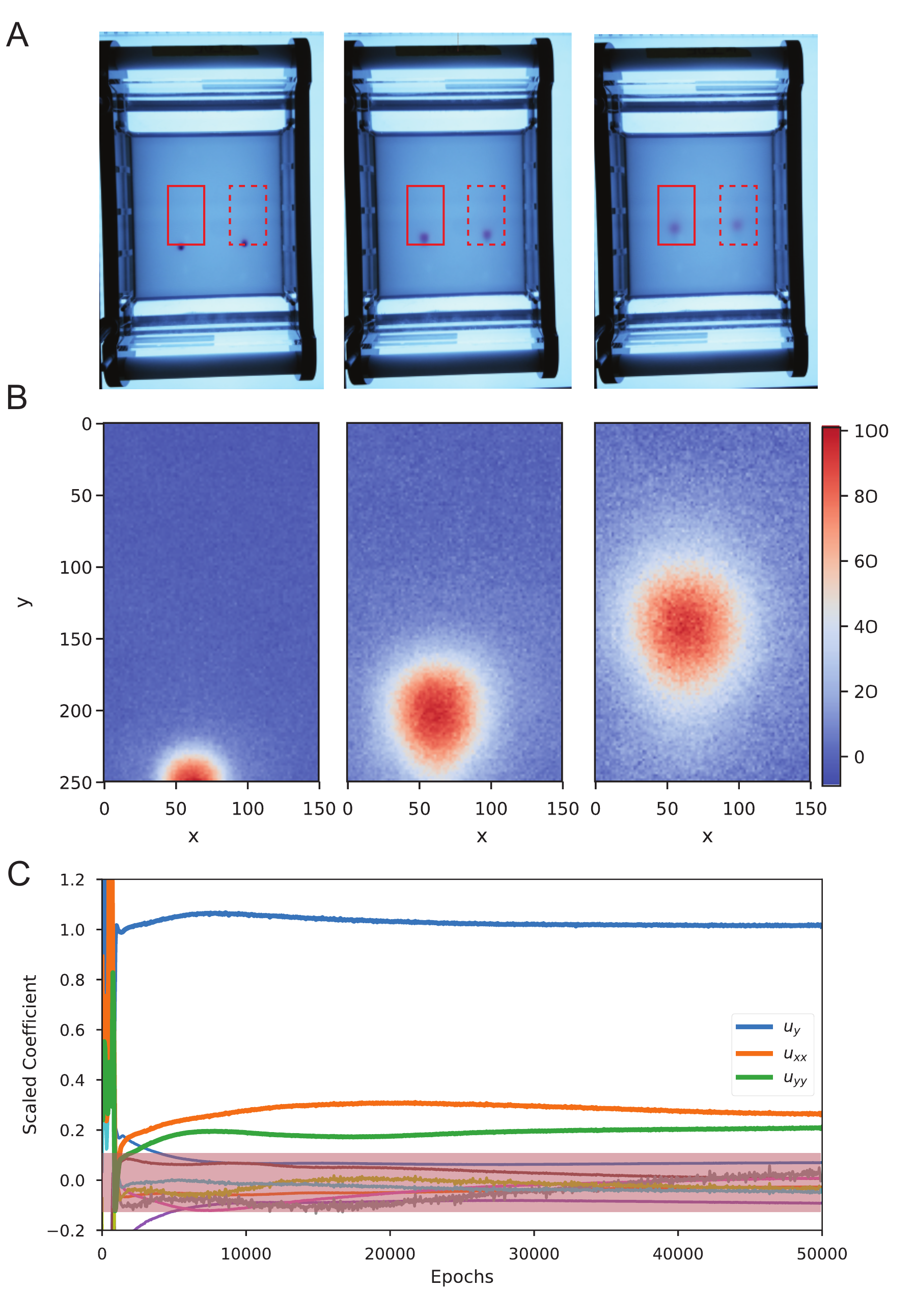 **a)** Time-serie images of the electrophoresis essay. The two red boxes indicate the analysed region. **b)** Region indicated in the solid red box of (a) showing the density of the dye at three different time-frames (in pixels). **c)** Scaled coefficients values of all the candidate for a single run. The pink region indicates the terms with scaled coefficient $| \xi | < 0.1$.