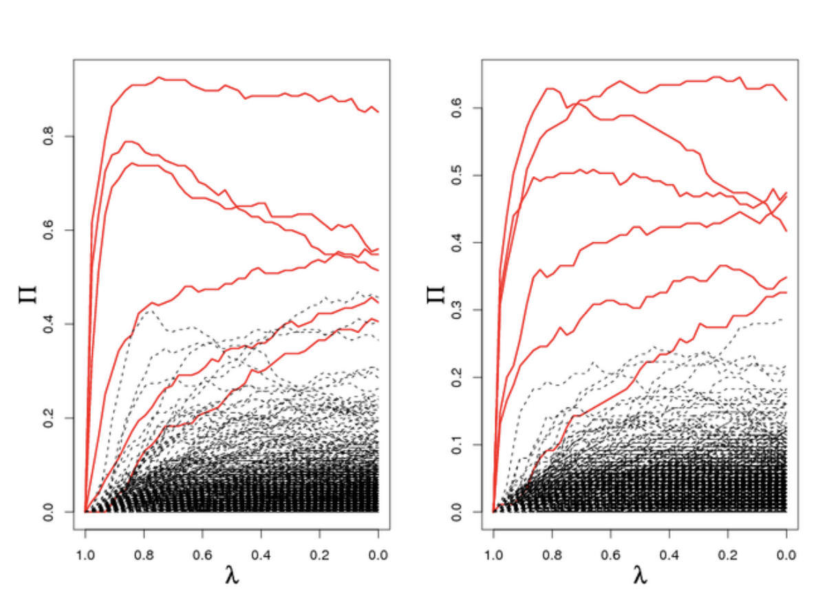 Stability paths. Figure from https://thuijskens.github.io/2018/07/25/stability-selection/